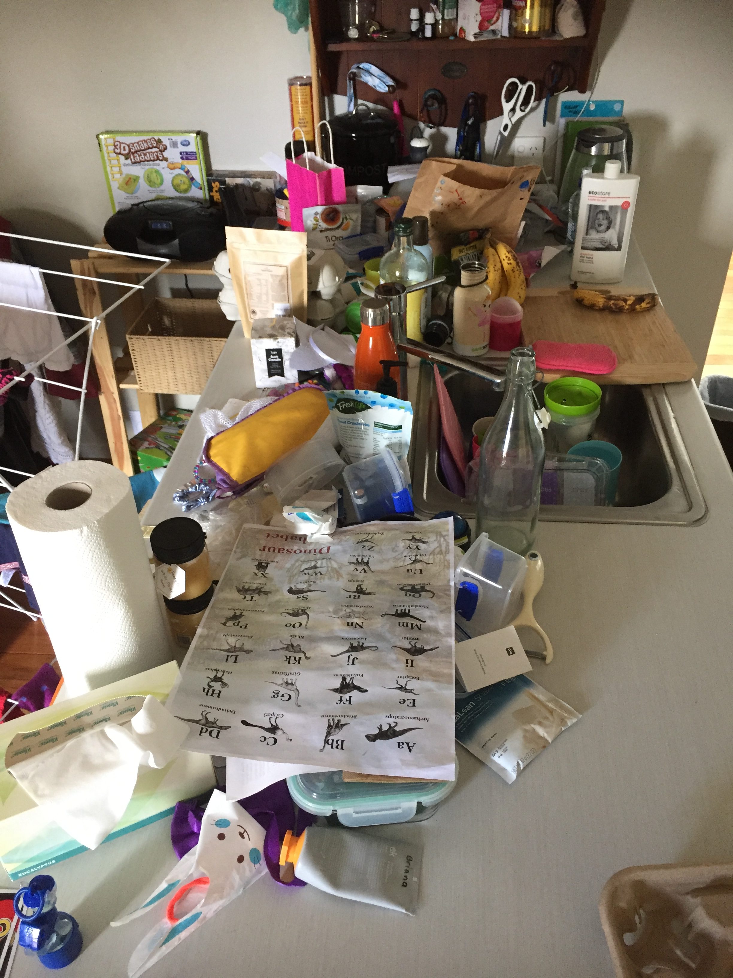 Clear Kitchen Benches! The Tidy Lady